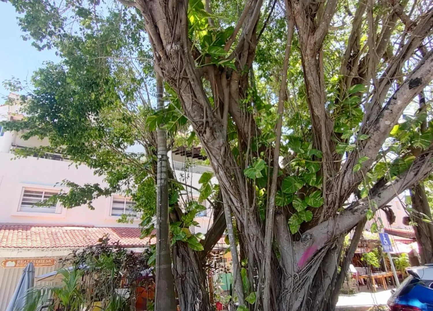 Private Rooms In A Hotel-Type Apartment - Super Located Puerto Aventuras 0*,  Mexico