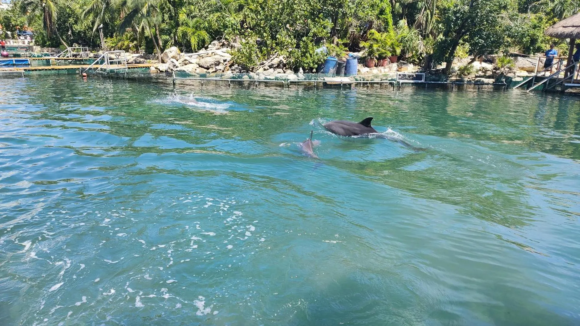 Private Rooms In A Hotel-Type Apartment - Super Located Puerto Aventuras